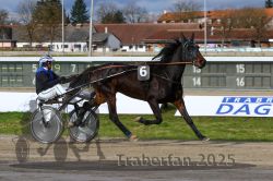 Dateiname=20251120_r04_032_R04_0082.jpg
Dateigröße=324KB
Abmessungen: 1000x667
hinzugefügt am: 21. November 2025 20251120_r04_032_R04_0082.jpg