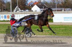 Dateiname=20251120_r04_040_R04_0098.jpg
Dateigröße=329KB
Abmessungen: 1000x667
hinzugefügt am: 21. November 2025 20251120_r04_040_R04_0098.jpg