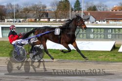 Dateiname=20251120_r04_042_R04_0102.jpg
Dateigröße=332KB
Abmessungen: 1000x667
hinzugefügt am: 21. November 2025 20251120_r04_042_R04_0102.jpg