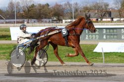 Dateiname=20251120_r04_047_R04_0112.jpg
Dateigröße=349KB
Abmessungen: 1000x667
hinzugefügt am: 21. November 2025 20251120_r04_047_R04_0112.jpg