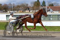 Dateiname=20251120_r04_048_R04_0114.jpg
Dateigröße=326KB
Abmessungen: 1000x667
hinzugefügt am: 21. November 2025 20251120_r04_048_R04_0114.jpg