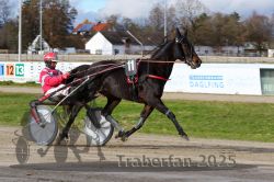 Dateiname=20251120_r04_050_R04_0119.jpg
Dateigröße=319KB
Abmessungen: 1000x667
hinzugefügt am: 21. November 2025 20251120_r04_050_R04_0119.jpg