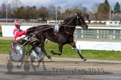 Dateiname=20251120_r04_051_R04_0121.jpg
Dateigröße=316KB
Abmessungen: 1000x667
hinzugefügt am: 21. November 2025 20251120_r04_051_R04_0121.jpg