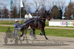 Dateiname=20251120_r04_054_R04_0128.jpg
Dateigröße=345KB
Abmessungen: 1000x667
hinzugefügt am: 21. November 2025 20251120_r04_054_R04_0128.jpg