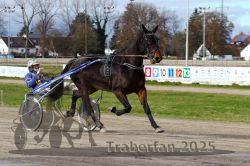 Dateiname=20251120_r04_055_R04_0130.jpg
Dateigröße=328KB
Abmessungen: 1000x667
hinzugefügt am: 21. November 2025 20251120_r04_055_R04_0130.jpg