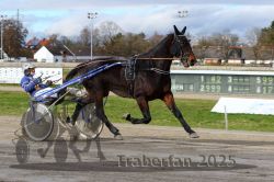 Dateiname=20251120_r04_057_R04_0134.jpg
Dateigröße=306KB
Abmessungen: 1000x667
hinzugefügt am: 21. November 2025 20251120_r04_057_R04_0134.jpg