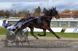 Dateiname=20251120_r04_058_R04_0136.jpg
Dateigröße=302KB
Abmessungen: 1000x667
hinzugefügt am: 21. November 2025 20251120_r04_058_R04_0136.jpg