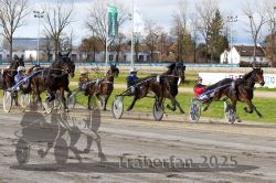 Dateiname=20251120_r04_062_R04_0145.jpg
Dateigröße=409KB
Abmessungen: 1000x667
hinzugefügt am: 21. November 2025 20251120_r04_062_R04_0145.jpg