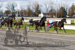 Dateiname=20251120_r04_063_R04_0147.jpg
Dateigröße=380KB
Abmessungen: 1000x667
hinzugefügt am: 21. November 2025 20251120_r04_063_R04_0147.jpg