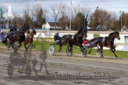 Dateiname=20251120_r04_064_R04_0149.jpg
Dateigröße=389KB
Abmessungen: 1000x667
hinzugefügt am: 21. November 2025 20251120_r04_064_R04_0149.jpg