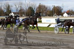 Dateiname=20251120_r04_065_R04_0153.jpg
Dateigröße=374KB
Abmessungen: 1000x667
hinzugefügt am: 21. November 2025 20251120_r04_065_R04_0153.jpg