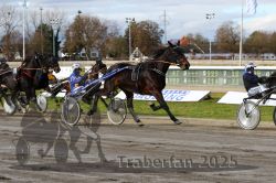 Dateiname=20251120_r04_066_R04_0155.jpg
Dateigröße=334KB
Abmessungen: 1000x667
hinzugefügt am: 21. November 2025 20251120_r04_066_R04_0155.jpg