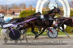 Dateiname=20251120_r04_069_R04_0169.jpg
Dateigröße=327KB
Abmessungen: 1000x667
hinzugefügt am: 21. November 2025 20251120_r04_069_R04_0169.jpg