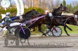 Dateiname=20251120_r04_070_R04_0171.jpg
Dateigröße=342KB
Abmessungen: 1000x667
hinzugefügt am: 21. November 2025 20251120_r04_070_R04_0171.jpg