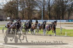 Dateiname=20251120_r04_073_R04_0177.jpg
Dateigröße=430KB
Abmessungen: 1000x667
hinzugefügt am: 21. November 2025 20251120_r04_073_R04_0177.jpg