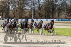 Dateiname=20251120_r04_074_R04_0179.jpg
Dateigröße=413KB
Abmessungen: 1000x667
hinzugefügt am: 21. November 2025 20251120_r04_074_R04_0179.jpg