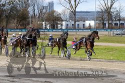 Dateiname=20251120_r04_075_R04_0181.jpg
Dateigröße=392KB
Abmessungen: 1000x667
hinzugefügt am: 21. November 2025 20251120_r04_075_R04_0181.jpg