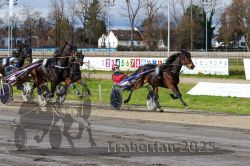 Dateiname=20251120_r04_079_R04_0189.jpg
Dateigröße=376KB
Abmessungen: 1000x667
hinzugefügt am: 21. November 2025 20251120_r04_079_R04_0189.jpg