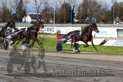 Dateiname=20251120_r04_080_R04_0191.jpg
Dateigröße=388KB
Abmessungen: 1000x667
hinzugefügt am: 21. November 2025 20251120_r04_080_R04_0191.jpg