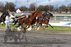 Dateiname=20251120_r04_082_R04_0203.jpg
Dateigröße=345KB
Abmessungen: 1000x667
hinzugefügt am: 21. November 2025 20251120_r04_082_R04_0203.jpg