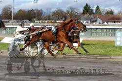 Dateiname=20251120_r04_083_R04_0205.jpg
Dateigröße=339KB
Abmessungen: 1000x667
hinzugefügt am: 21. November 2025 20251120_r04_083_R04_0205.jpg