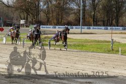 Dateiname=20251120_r04_088_R04_0216.jpg
Dateigröße=409KB
Abmessungen: 1000x667
hinzugefügt am: 21. November 2025 20251120_r04_088_R04_0216.jpg