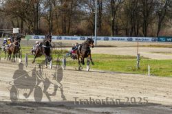 Dateiname=20251120_r04_089_R04_0218.jpg
Dateigröße=406KB
Abmessungen: 1000x667
hinzugefügt am: 21. November 2025 20251120_r04_089_R04_0218.jpg