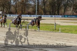 Dateiname=20251120_r04_090_R04_0220.jpg
Dateigröße=393KB
Abmessungen: 1000x667
hinzugefügt am: 21. November 2025 20251120_r04_090_R04_0220.jpg