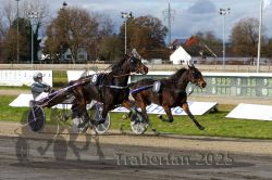 Dateiname=20251120_r04_097_R04_0236.jpg
Dateigröße=352KB
Abmessungen: 1000x667
hinzugefügt am: 21. November 2025 20251120_r04_097_R04_0236.jpg