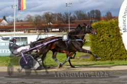 Dateiname=20251120_r04_103_R04_0246.jpg
Dateigröße=338KB
Abmessungen: 1000x667
hinzugefügt am: 21. November 2025 20251120_r04_103_R04_0246.jpg