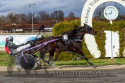 Dateiname=20251120_r04_104_R04_0247.jpg
Dateigröße=331KB
Abmessungen: 1000x667
hinzugefügt am: 21. November 2025 20251120_r04_104_R04_0247.jpg