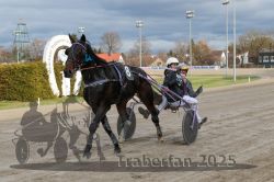 Dateiname=20251120_r04_115_E7D_0113.jpg
Dateigröße=288KB
Abmessungen: 1000x667
hinzugefügt am: 21. November 2025 20251120_r04_115_E7D_0113.jpg