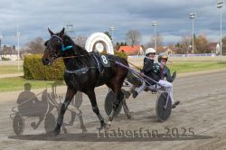 Dateiname=20251120_r04_116_E7D_0114.jpg
Dateigröße=288KB
Abmessungen: 1000x667
hinzugefügt am: 21. November 2025 20251120_r04_116_E7D_0114.jpg