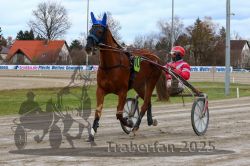 Dateiname=20251120_r05_027_R05_0076.jpg
Dateigröße=337KB
Abmessungen: 1000x667
hinzugefügt am: 21. November 2025 20251120_r05_027_R05_0076.jpg