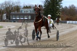 Dateiname=20251120_r05_029_R05_0081.jpg
Dateigröße=341KB
Abmessungen: 1000x667
hinzugefügt am: 21. November 2025 20251120_r05_029_R05_0081.jpg