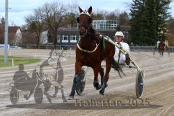 Dateiname=20251120_r05_030_R05_0084.jpg
Dateigröße=305KB
Abmessungen: 1000x667
hinzugefügt am: 21. November 2025 20251120_r05_030_R05_0084.jpg