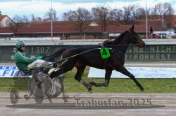 Dateiname=20251120_r05_039_R05_0103.jpg
Dateigröße=299KB
Abmessungen: 1000x667
hinzugefügt am: 21. November 2025 20251120_r05_039_R05_0103.jpg