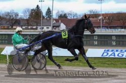 Dateiname=20251120_r05_042_R05_0112.jpg
Dateigröße=292KB
Abmessungen: 1000x667
hinzugefügt am: 21. November 2025 20251120_r05_042_R05_0112.jpg