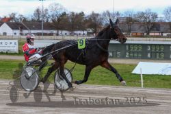 Dateiname=20251120_r05_045_R05_0118.jpg
Dateigröße=288KB
Abmessungen: 1000x667
hinzugefügt am: 21. November 2025 20251120_r05_045_R05_0118.jpg