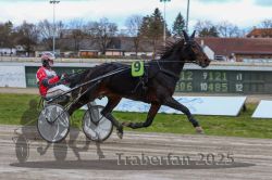 Dateiname=20251120_r05_046_R05_0120.jpg
Dateigröße=296KB
Abmessungen: 1000x667
hinzugefügt am: 21. November 2025 20251120_r05_046_R05_0120.jpg