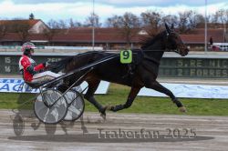 Dateiname=20251120_r05_048_R05_0124.jpg
Dateigröße=286KB
Abmessungen: 1000x667
hinzugefügt am: 21. November 2025 20251120_r05_048_R05_0124.jpg