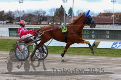 Dateiname=20251120_r05_061_R05_0147.jpg
Dateigröße=297KB
Abmessungen: 1000x667
hinzugefügt am: 21. November 2025 20251120_r05_061_R05_0147.jpg