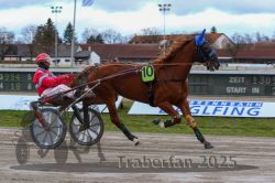 Dateiname=20251120_r05_062_R05_0148.jpg
Dateigröße=290KB
Abmessungen: 1000x667
hinzugefügt am: 21. November 2025 20251120_r05_062_R05_0148.jpg