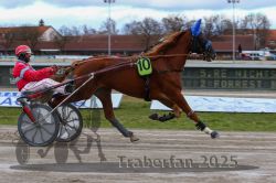 Dateiname=20251120_r05_064_R05_0150.jpg
Dateigröße=294KB
Abmessungen: 1000x667
hinzugefügt am: 21. November 2025 20251120_r05_064_R05_0150.jpg