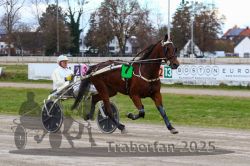 Dateiname=20251120_r05_066_R05_0154.jpg
Dateigröße=319KB
Abmessungen: 1000x667
hinzugefügt am: 21. November 2025 20251120_r05_066_R05_0154.jpg