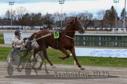 Dateiname=20251120_r05_072_R05_0167.jpg
Dateigröße=294KB
Abmessungen: 1000x667
hinzugefügt am: 21. November 2025 20251120_r05_072_R05_0167.jpg