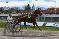 Dateiname=20251120_r05_073_R05_0169.jpg
Dateigröße=292KB
Abmessungen: 1000x667
hinzugefügt am: 21. November 2025 20251120_r05_073_R05_0169.jpg