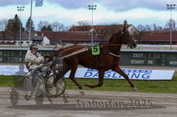 Dateiname=20251120_r05_074_R05_0171.jpg
Dateigröße=285KB
Abmessungen: 1000x667
hinzugefügt am: 21. November 2025 20251120_r05_074_R05_0171.jpg