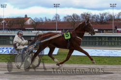 Dateiname=20251120_r05_075_R05_0173.jpg
Dateigröße=289KB
Abmessungen: 1000x667
hinzugefügt am: 21. November 2025 20251120_r05_075_R05_0173.jpg