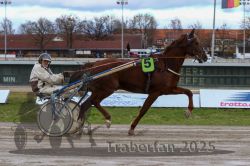 Dateiname=20251120_r05_076_R05_0175.jpg
Dateigröße=302KB
Abmessungen: 1000x667
hinzugefügt am: 21. November 2025 20251120_r05_076_R05_0175.jpg